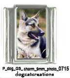 german_shepherd_dog_photo_italian_charm9mm_ P_dog_GS_charm_9mm_photo_0715